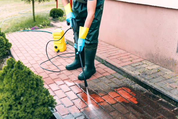 Best Solar Panel Cleaning  in Cathcart, WA
